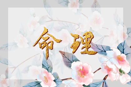 老黄历万年历,老黄历2025年查询,老黄历每日宜忌查询